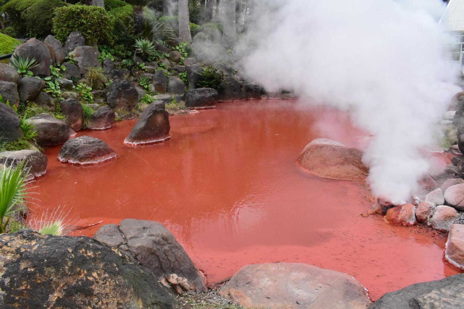 Omoloso Hostel　オモロソウ ホステル Beppu Dış mekan fotoğraf
